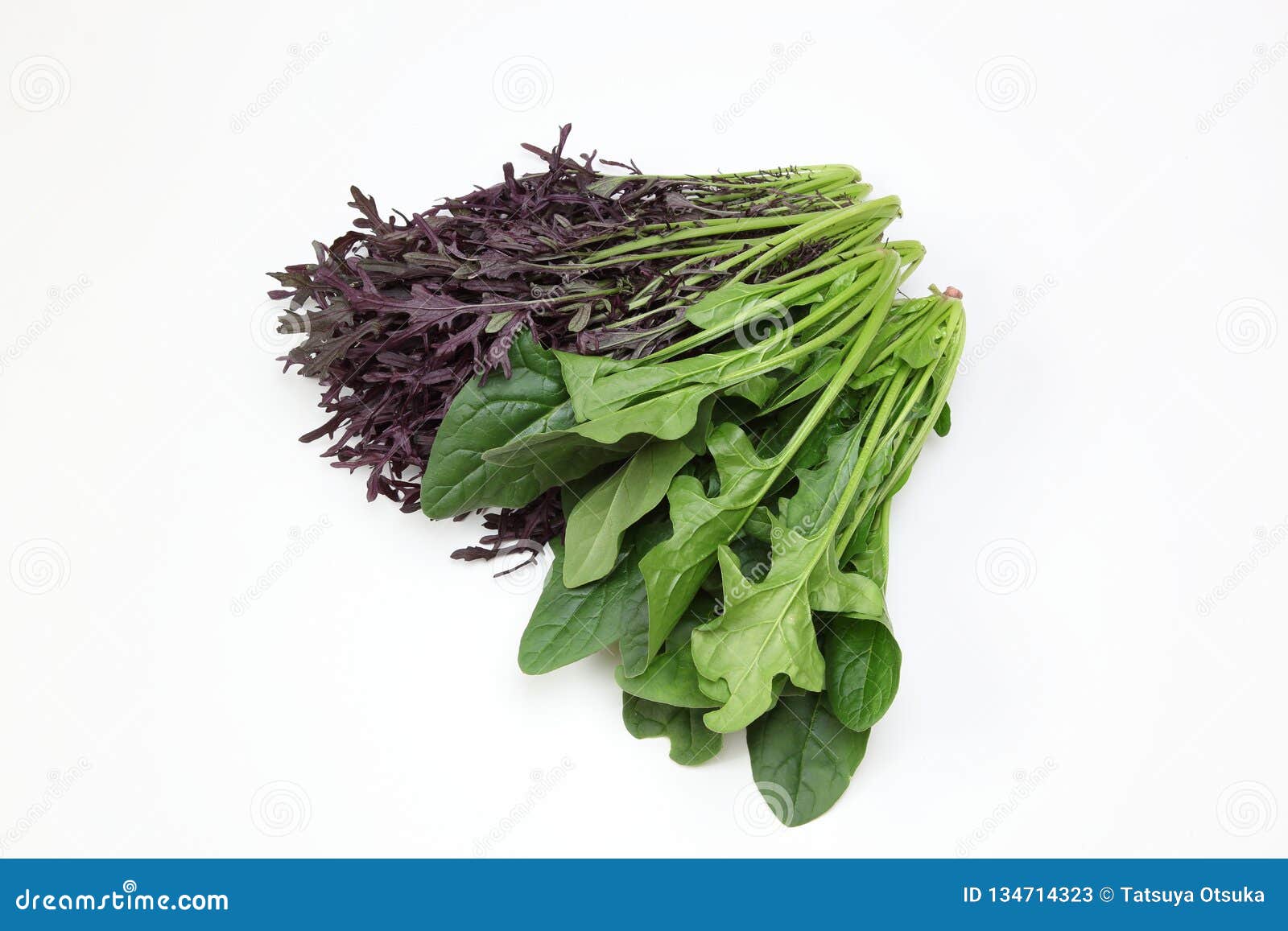 Spinach and Mustard Greens in a White Background Stock Image Image of