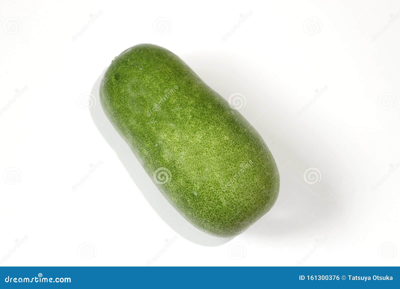A Wax Gourd in a White Background Stock Photo Image of isolated, vegetable 161300376