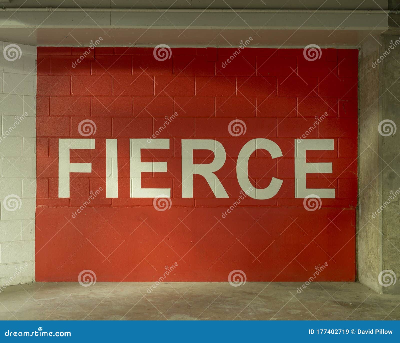 Fierce Stock Photos - 133,026 Images