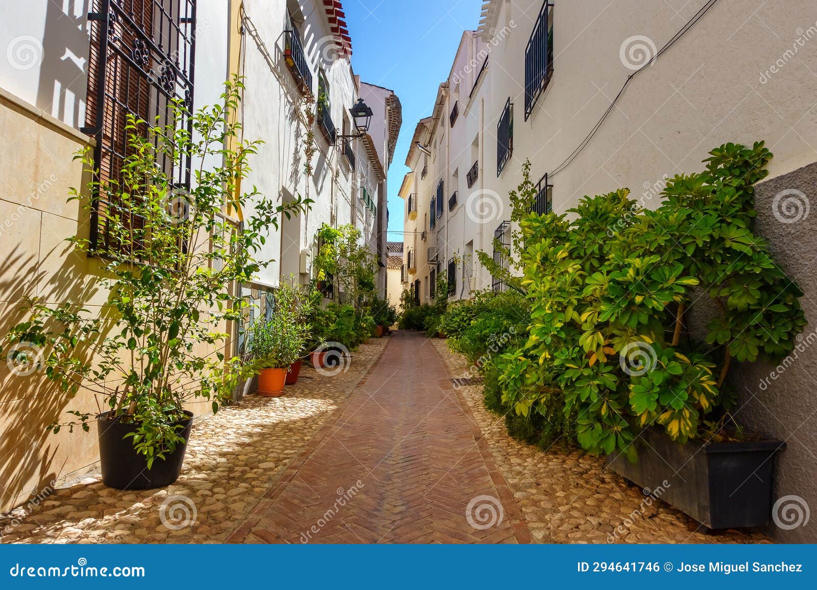 picturesque alley with whitewashed houses and potted plants all over the street, velez rubio, almeria.
