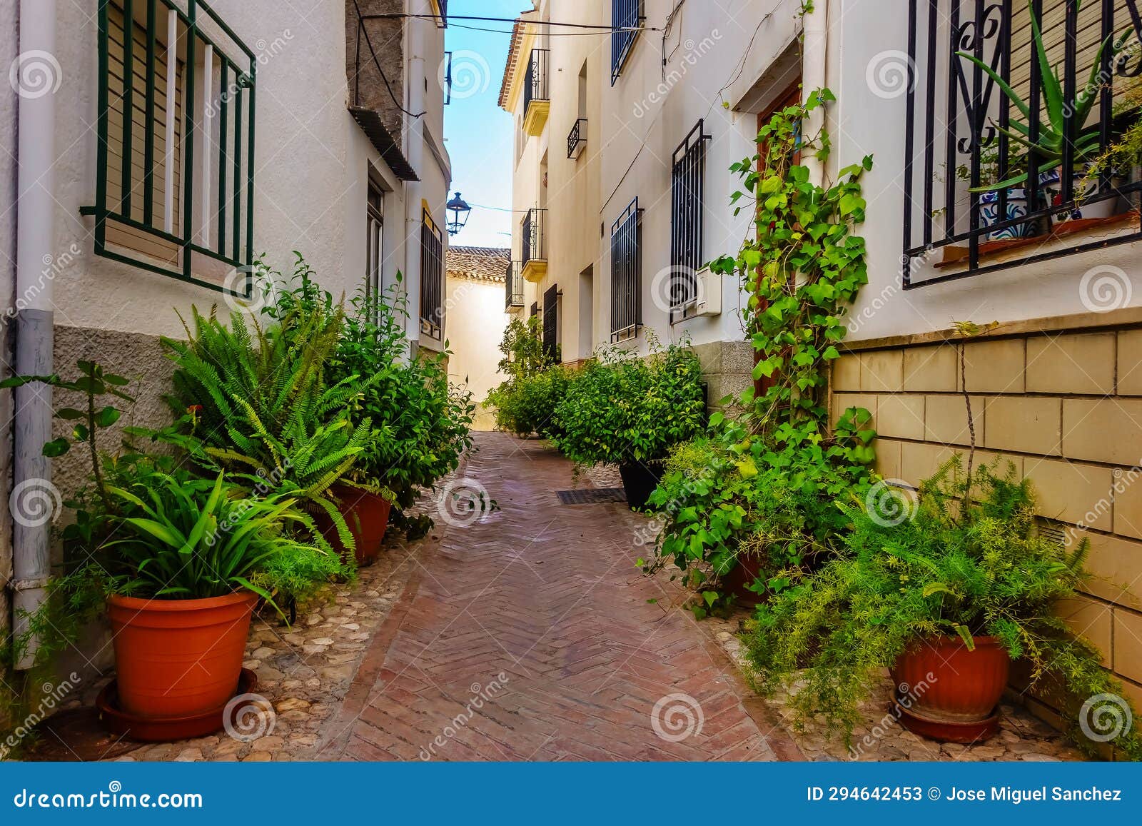 picturesque alley with whitewashed houses and potted plants all over the street, velez rubio, almeria