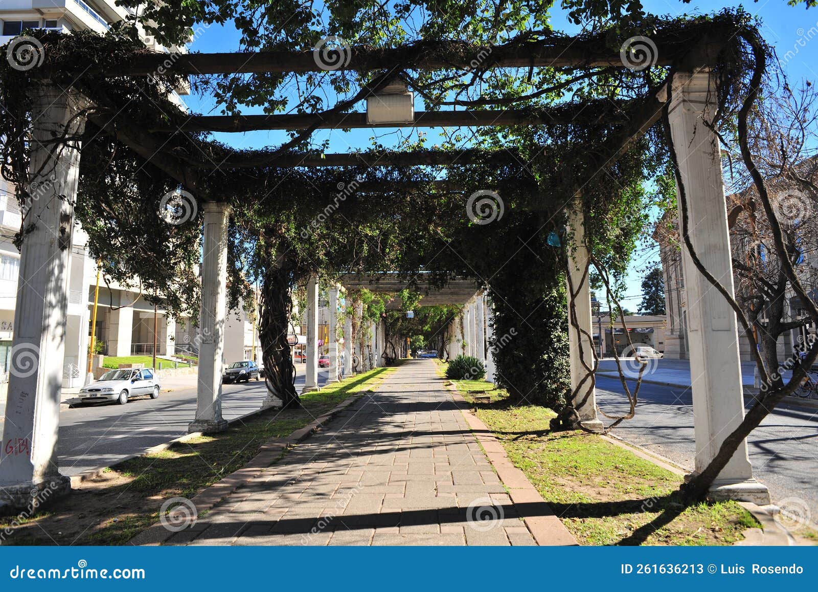 picturesque city with a boulevard with trees santa fe argentina