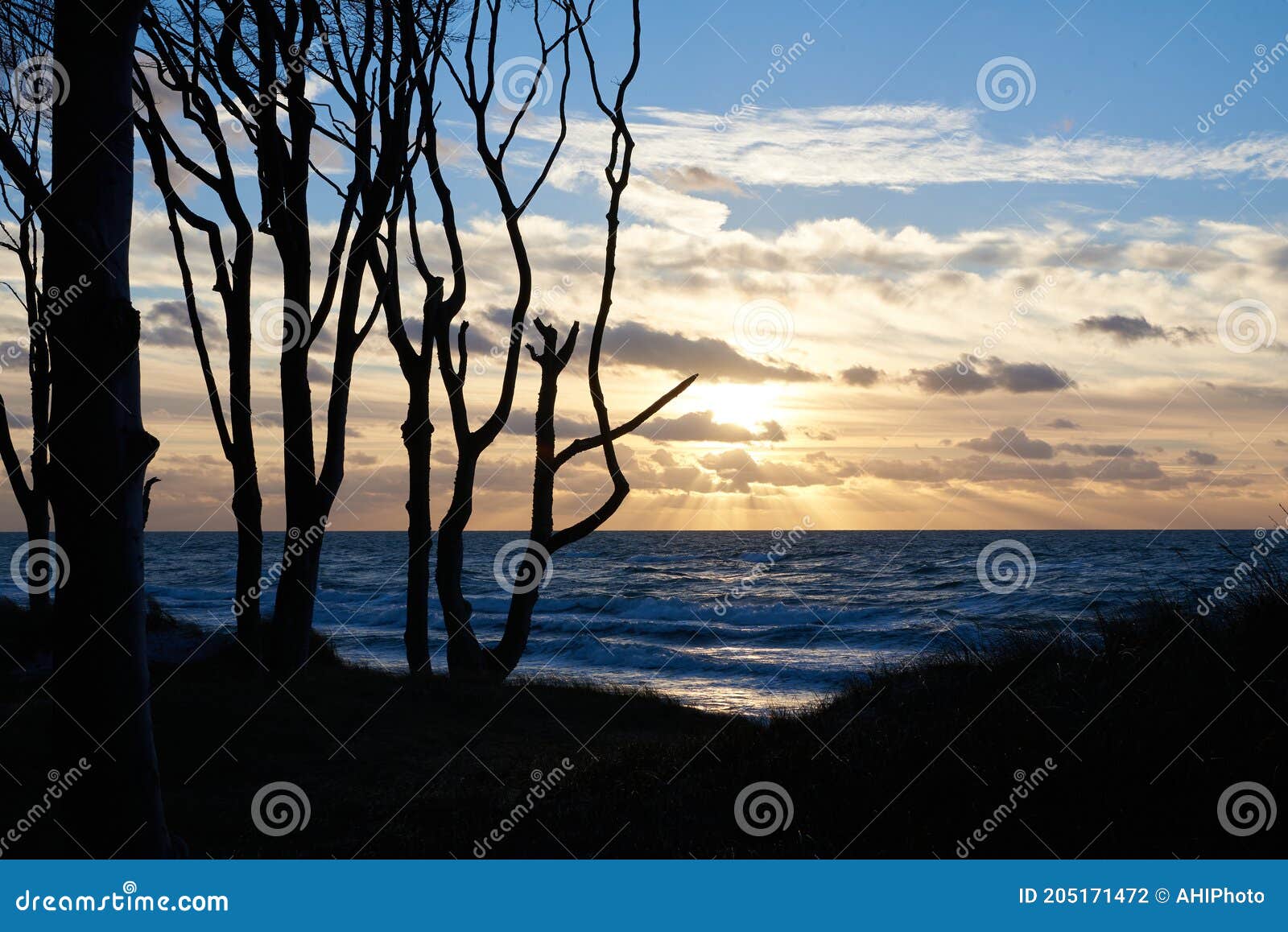 picturesque  colorful sunset over the baltic sea  with glowing clouds  small waves and tree sillouettes in the foreground.