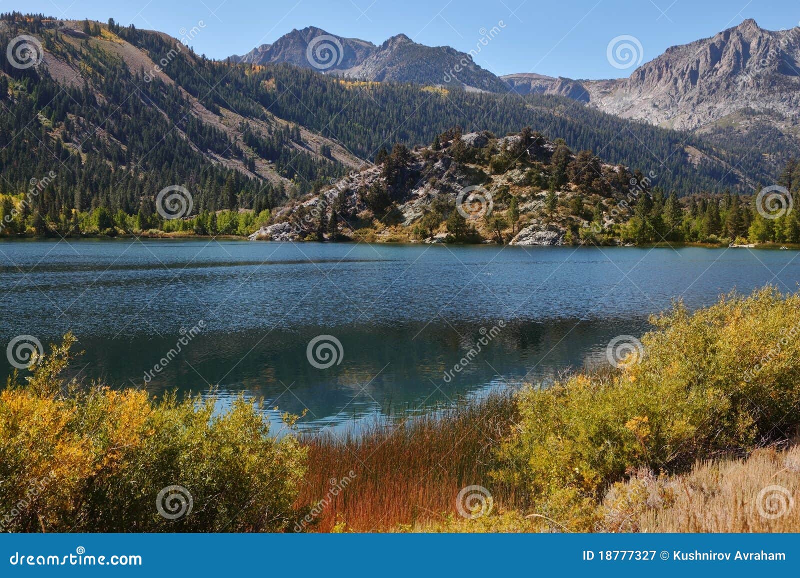 The Picturesque Island in a Blue Lake Stock Image Image of green