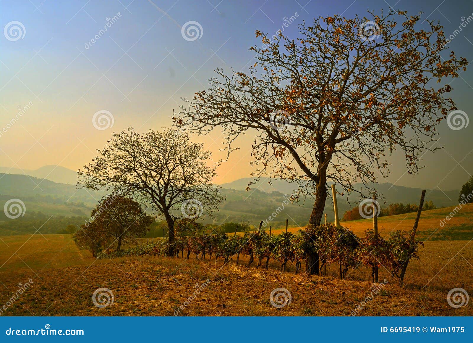 picturesque rural landscape