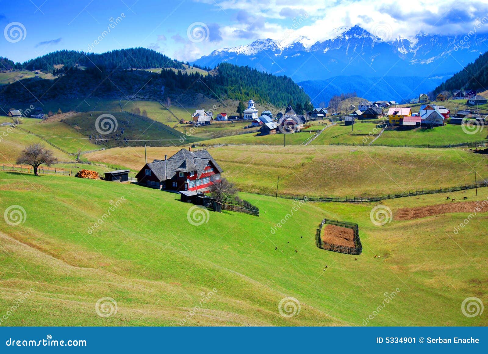 picturesque spring landscape