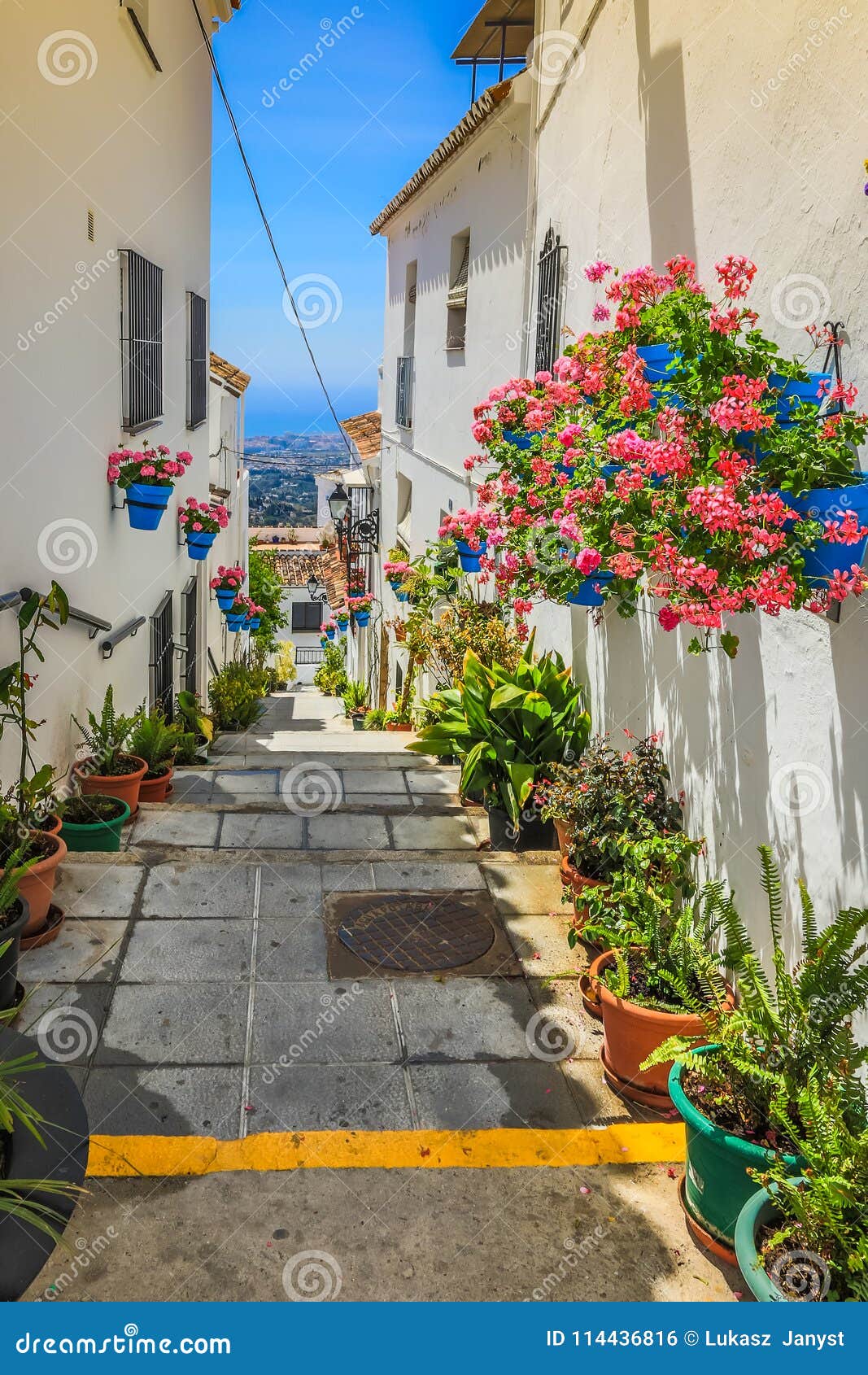 picturesque street of mijas with flower pots in facades. andalusian white village. costa del sol. southern spain