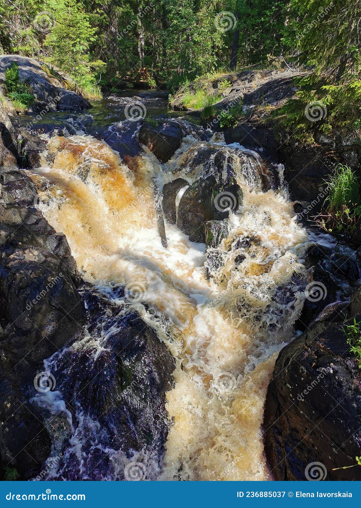 a picturesque waterfall on the tokhmayoki river in karelia surrounded by trees on a clear summer morning