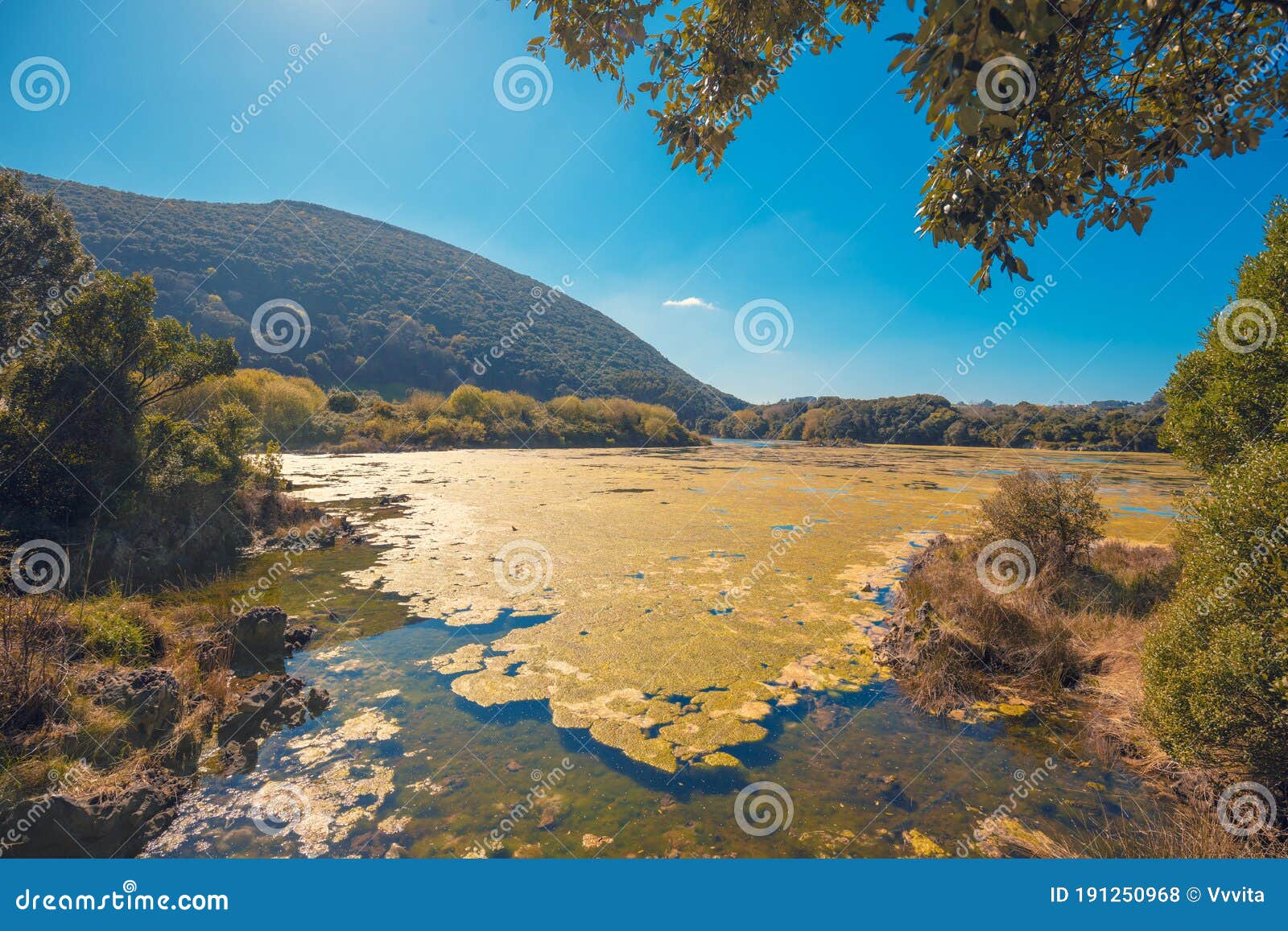 natural reserve natural resources marisma de joyel. cantabria, spain, europe