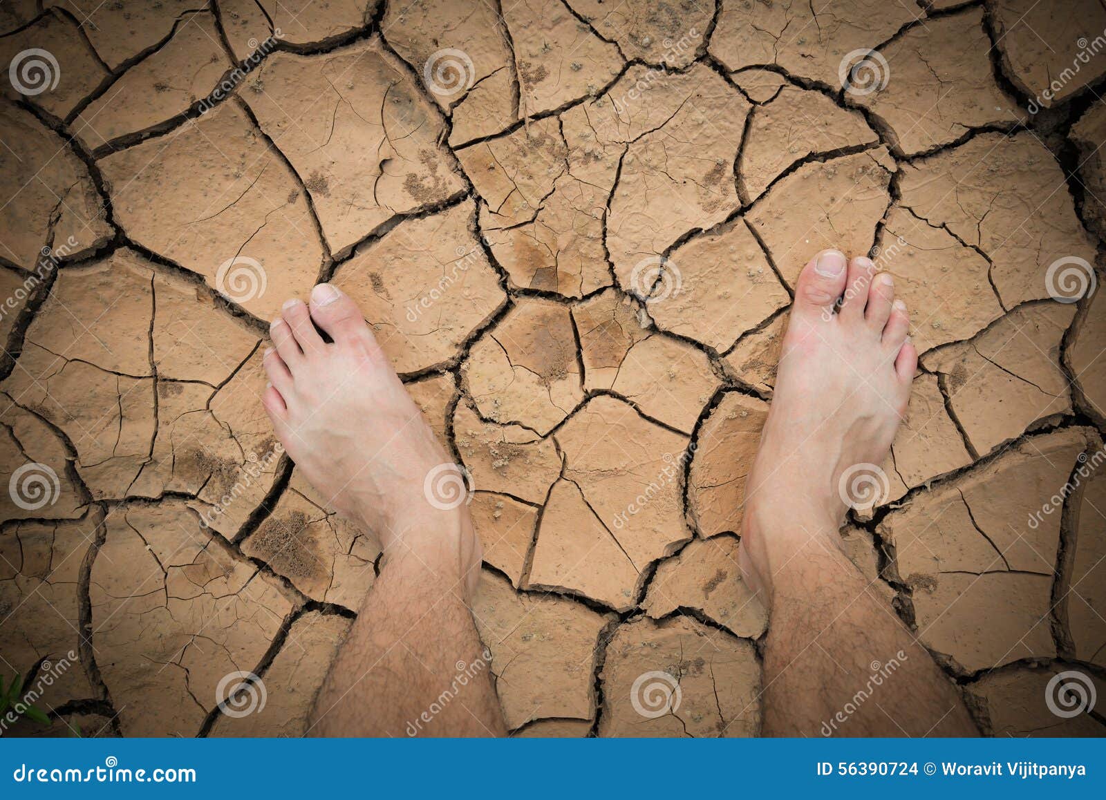 Pie En La Tierra De La Grieta Foto de archivo Imagen de arcilla