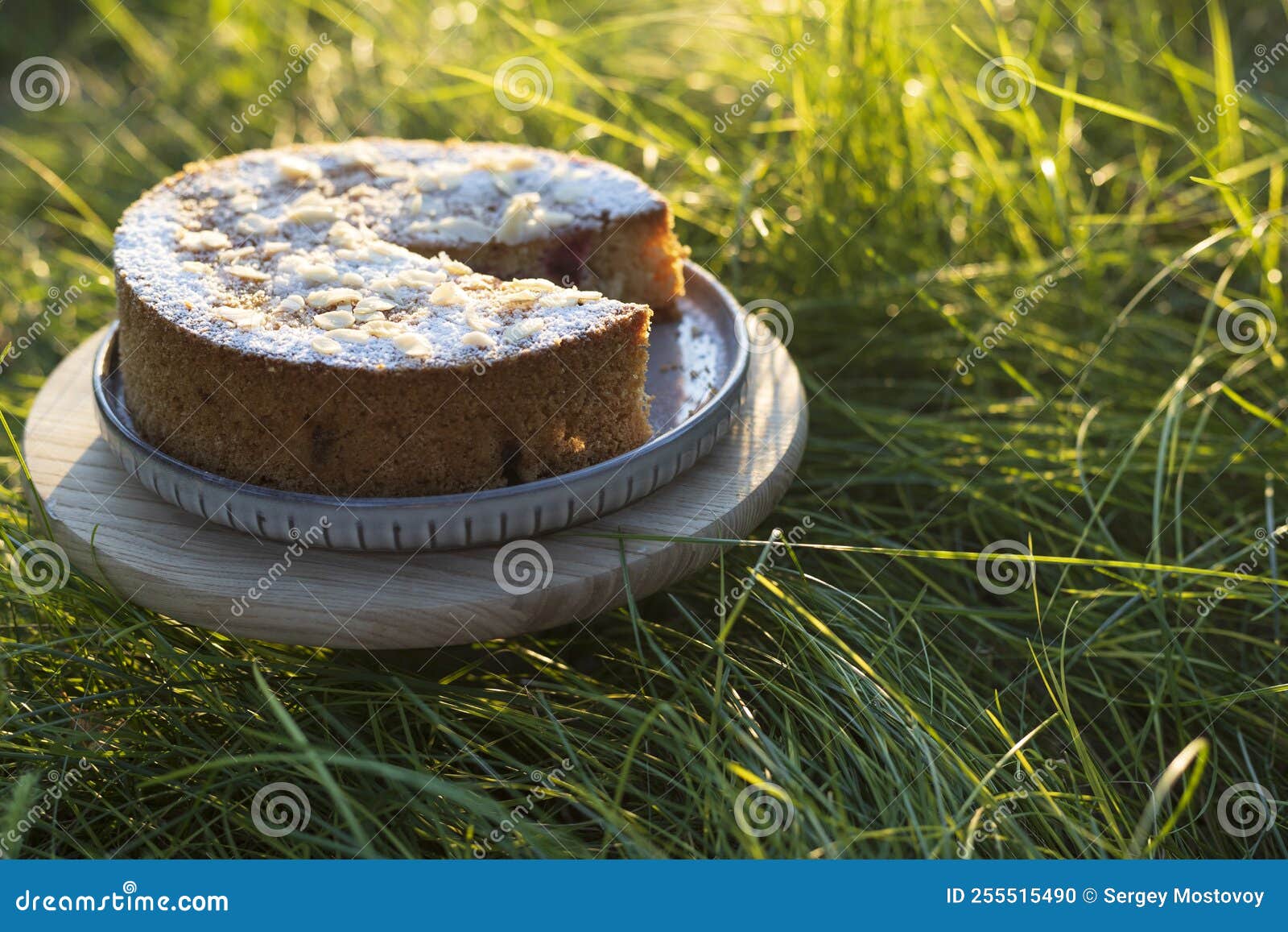 Pie on the grass stock photo. Image of dessert, country 255515490
