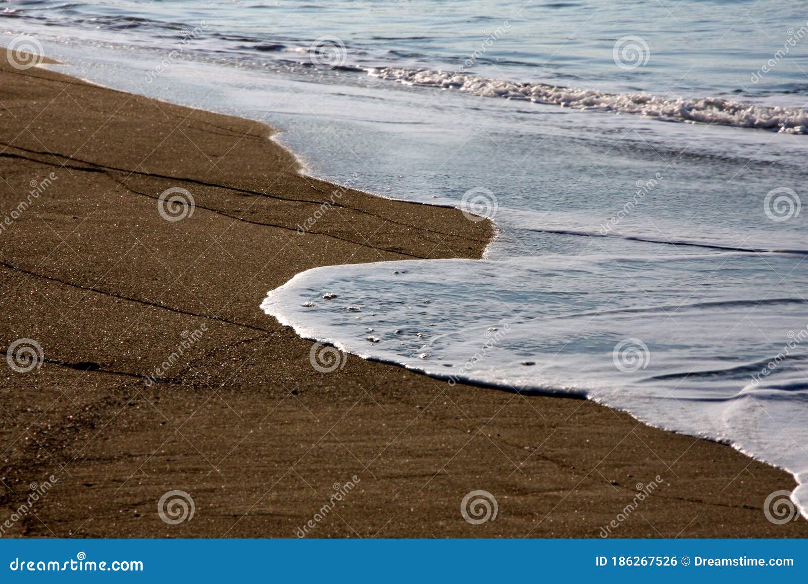 a piece of beach. wet sand.