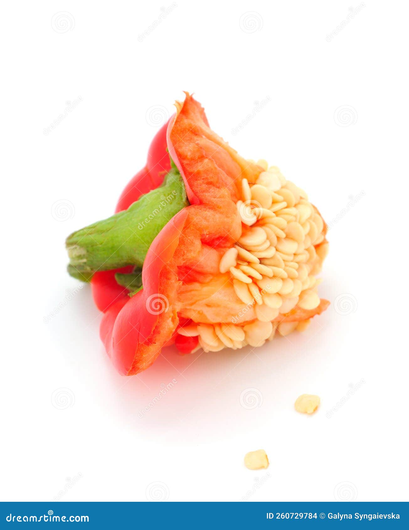 Piece of Bell Pepper with Seeds Stock Photo Image of product