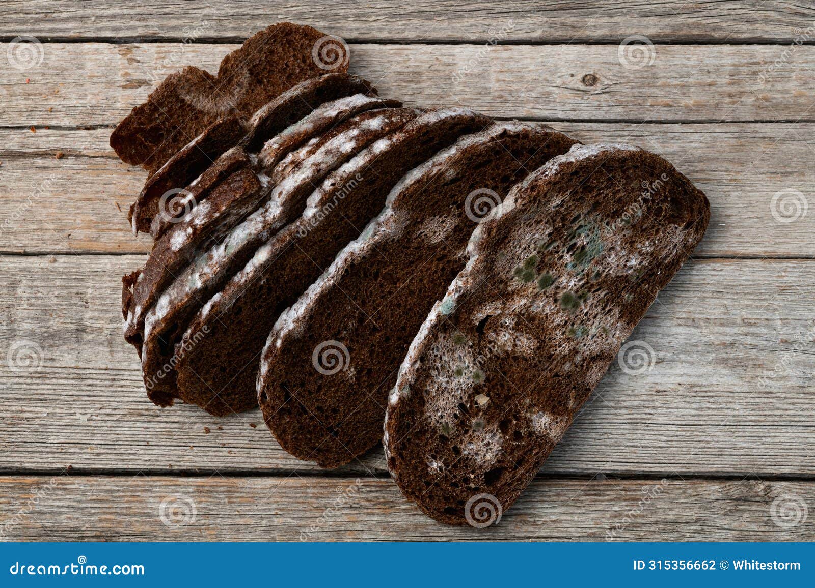 piece of dark molded bread