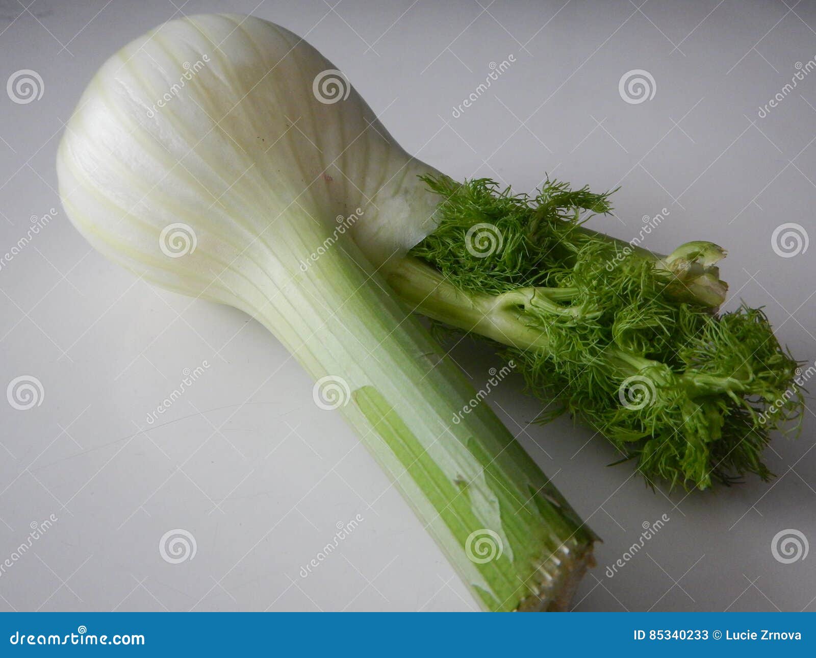 Piece of Fresh Green Fennel Stock Image Image of eating, finule 85340233