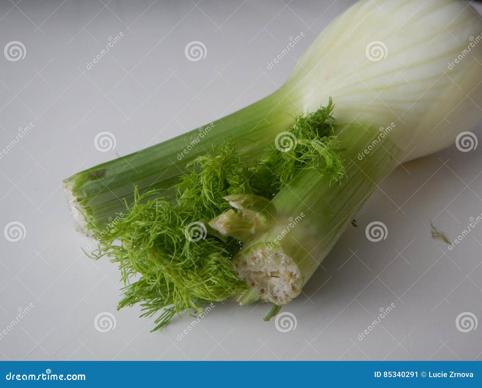 Piece of Fresh Green Fennel Stock Image Image of bulb, isolated 85340291