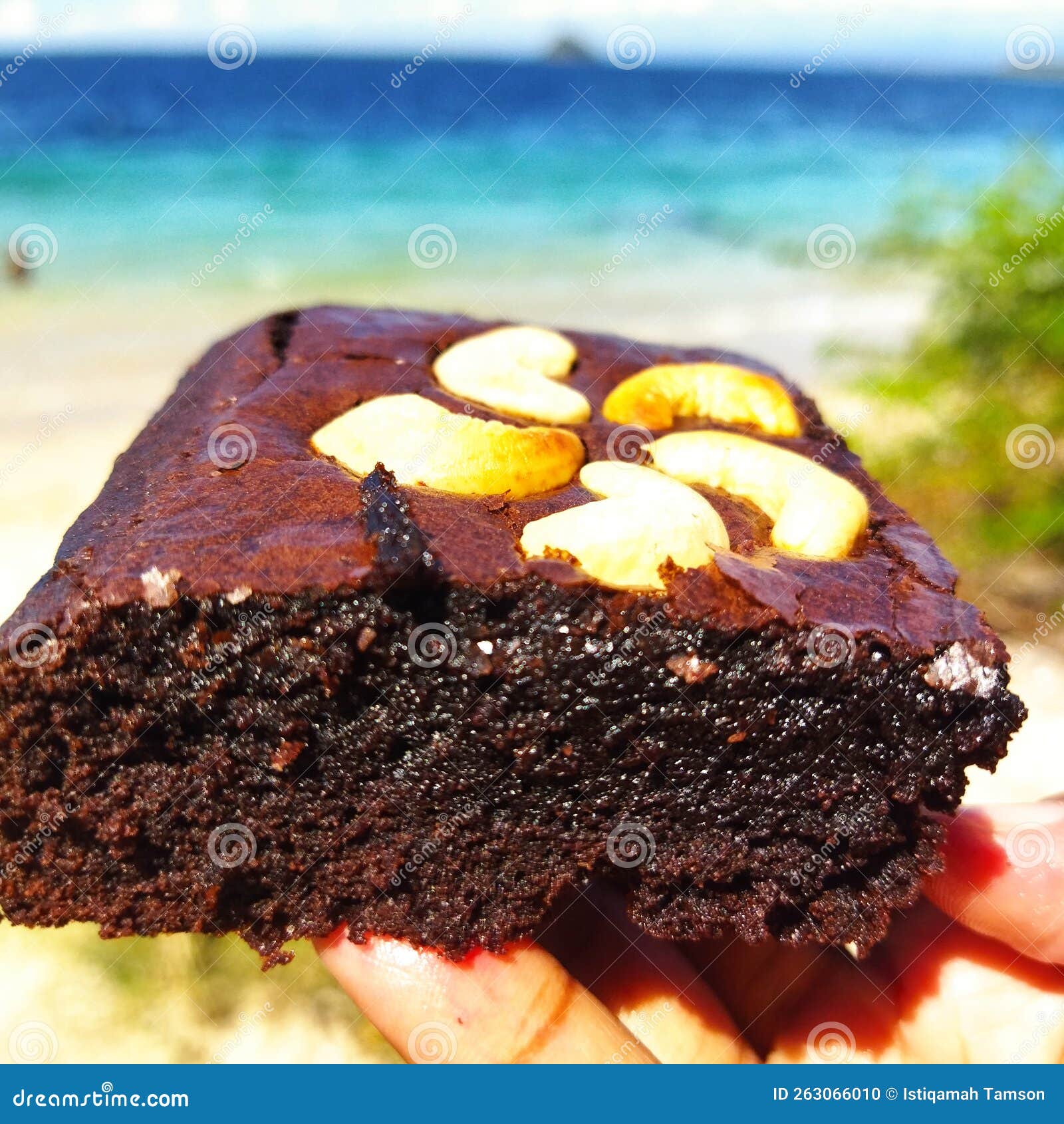 A Piece of Fudge Brownies in the Beach Stock Photo Image of fudge, piece 263066010