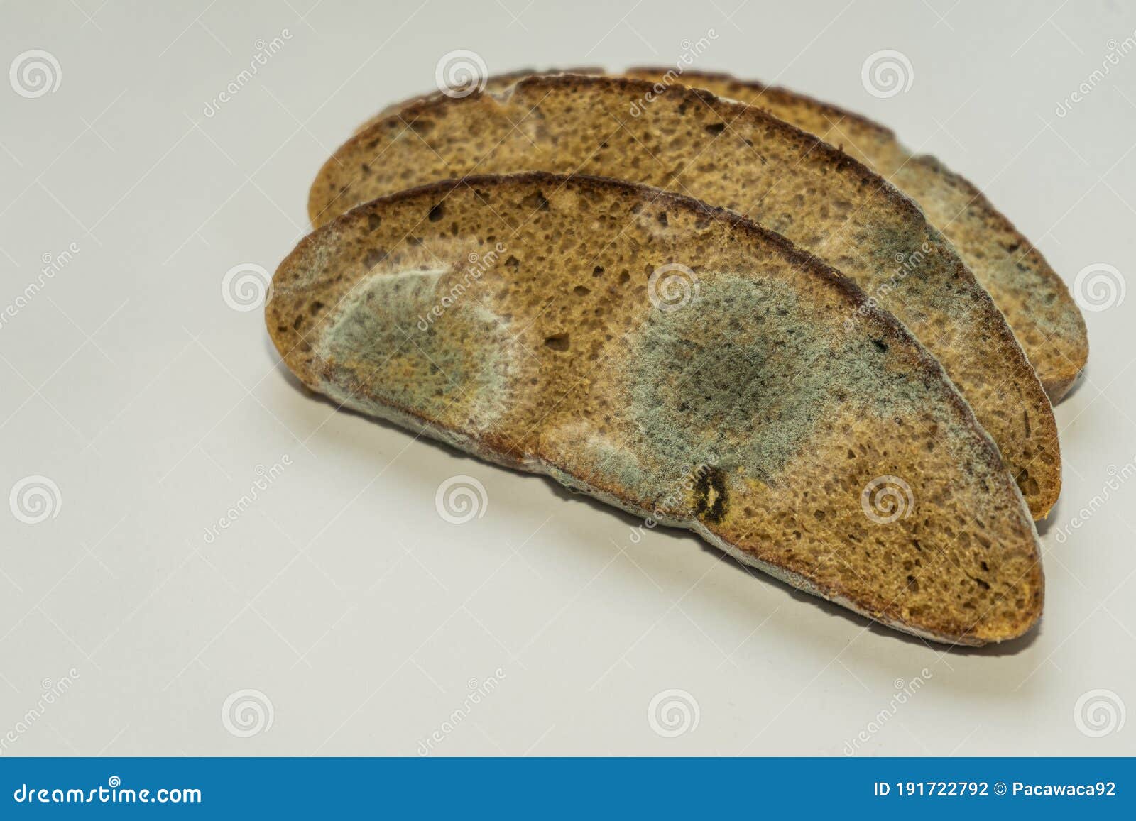 A Piece of Rye Bread with White and Black Mold Stock Photo Image of