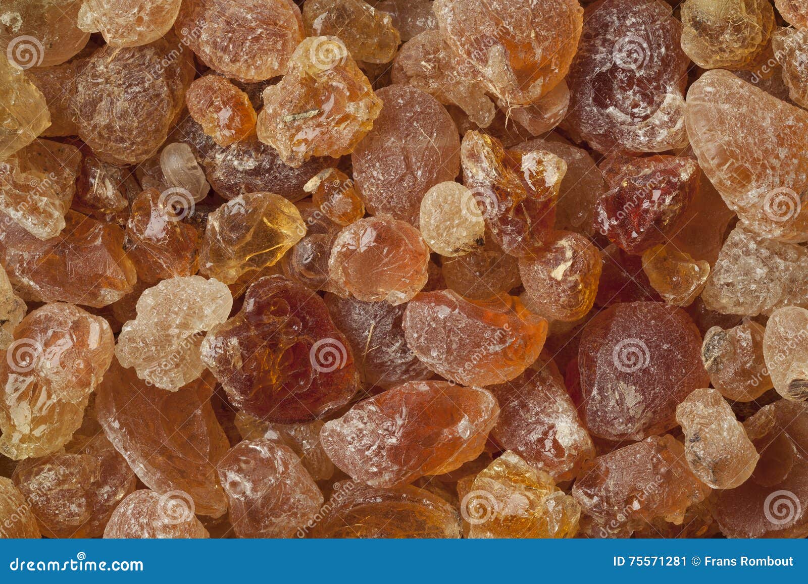 Pieces of Gum arabic stock image. Image of binder, tree 75571281