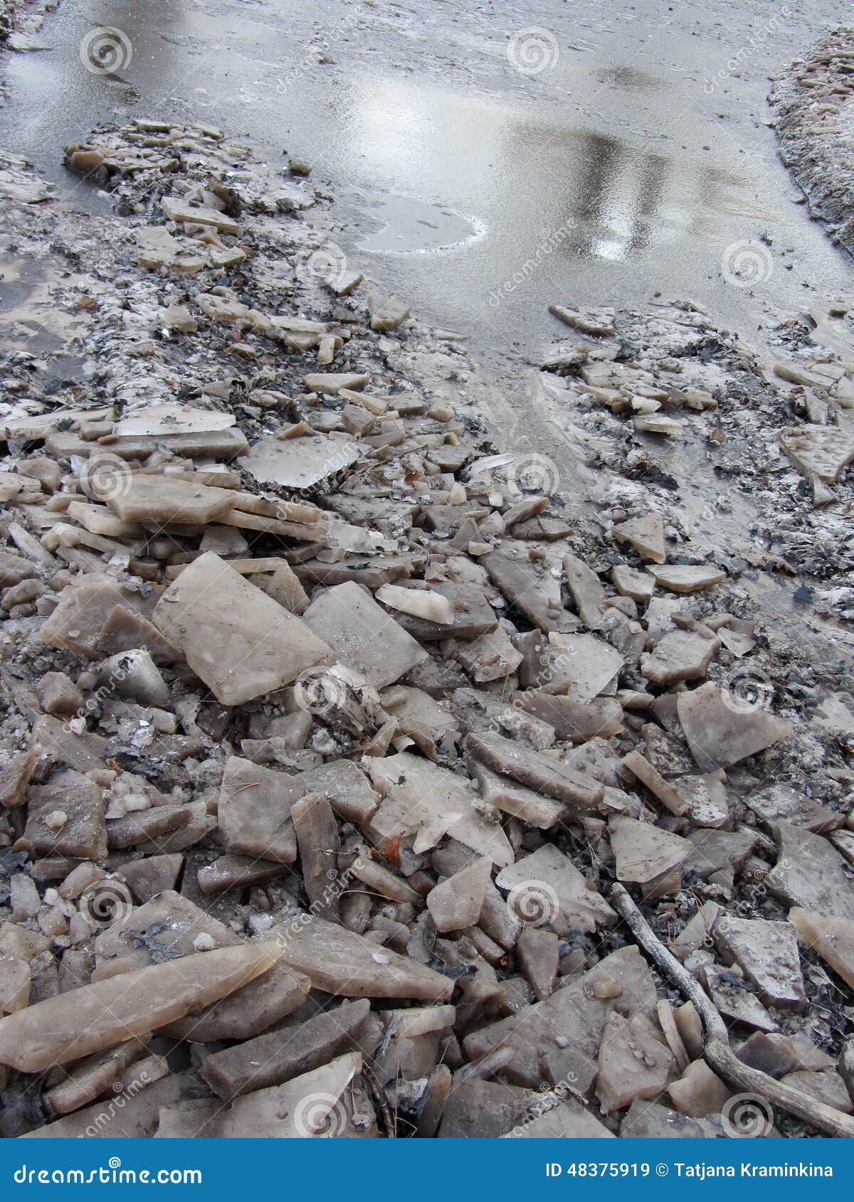 Pieces of Ice in the Dirty Water Stock Image Image of abstract, water