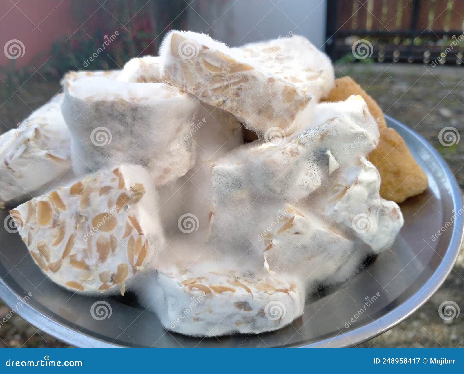 Tofu and Tempeh that Have Been Cut, on a Plate, Food Ingredients To Be