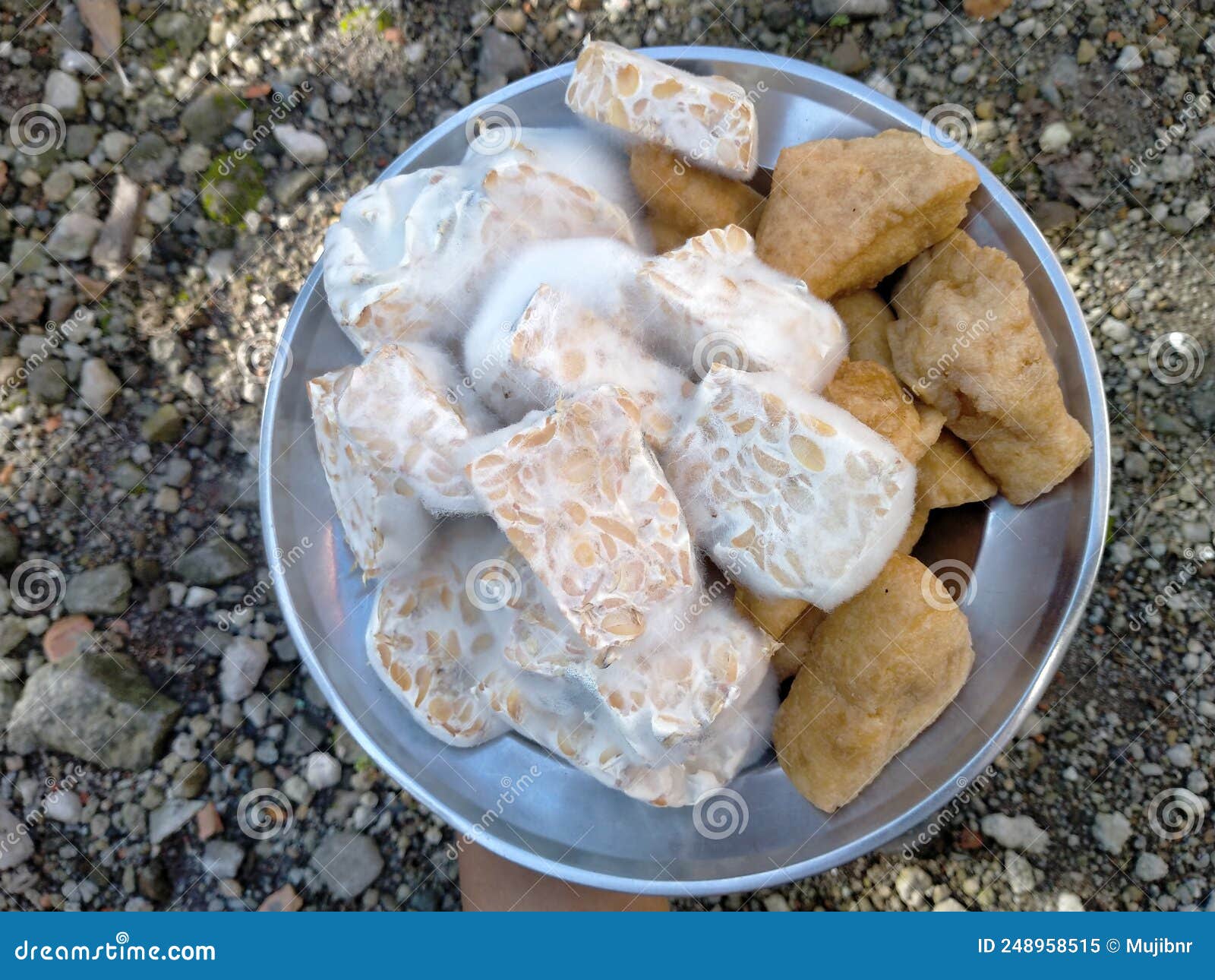 Tofu and Tempeh that Have Been Cut, on a Plate, Food Ingredients To Be