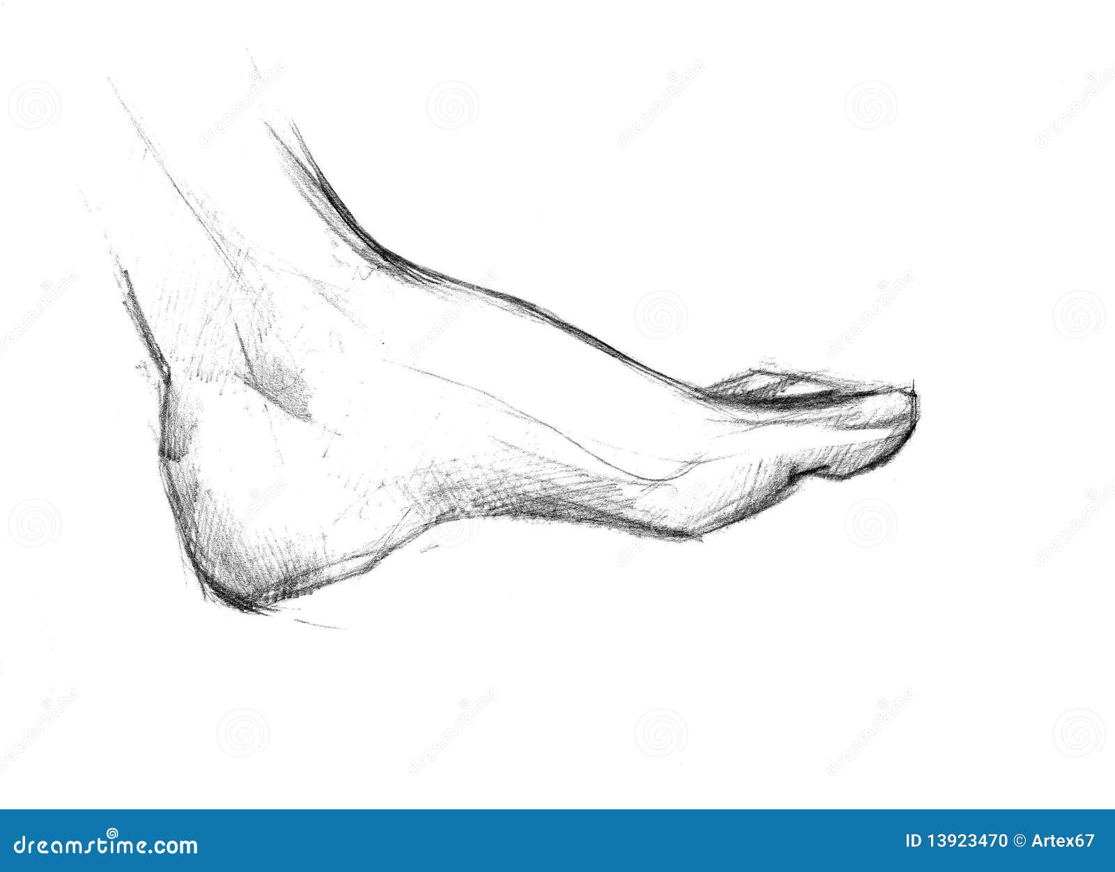 Illustration de pied aux pieds nus de droit de l'homme pour une cheville