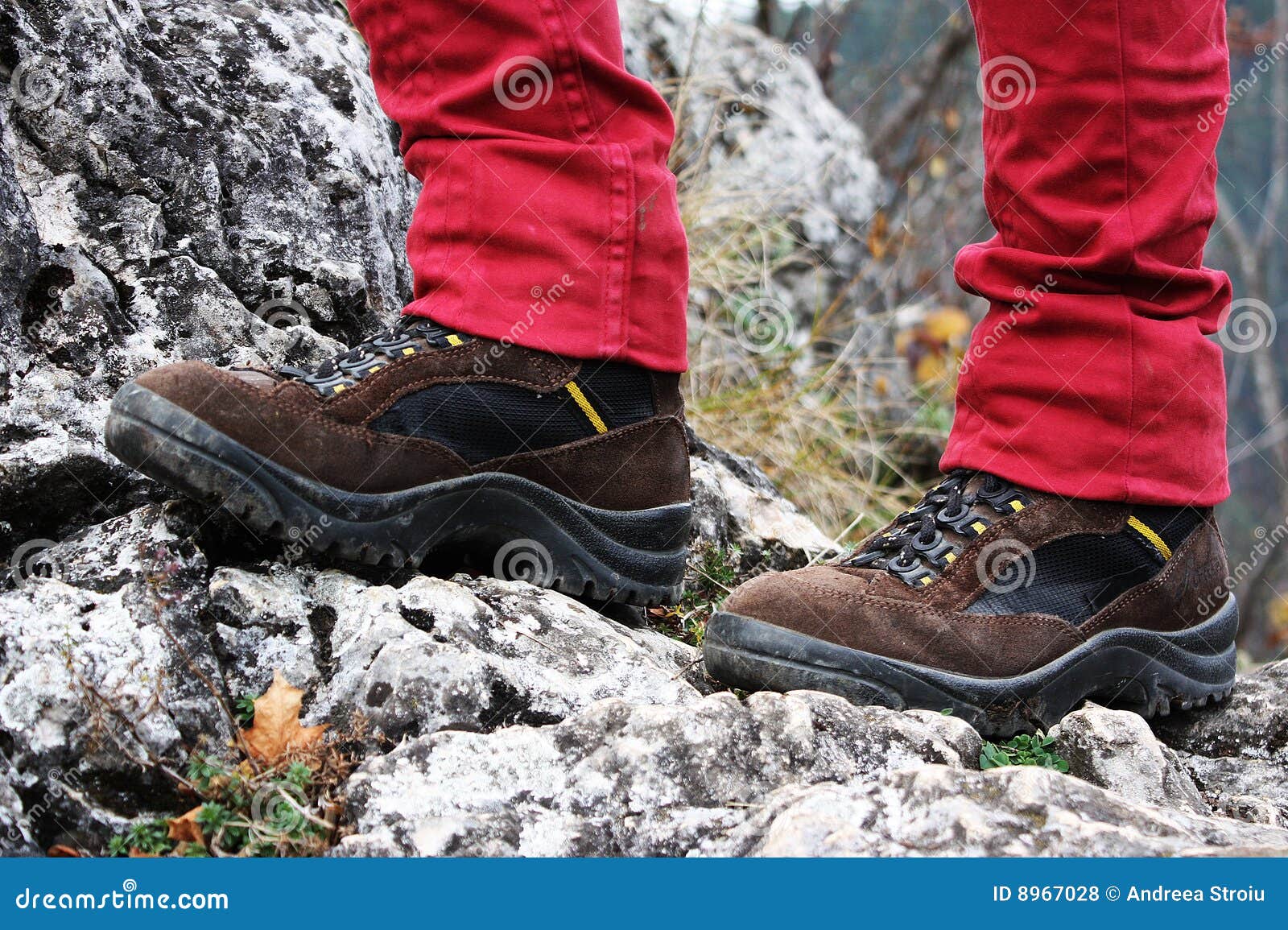 Piedi sulla roccia 2. Piedi sulle rocce, pattini da portare di sport della montagna