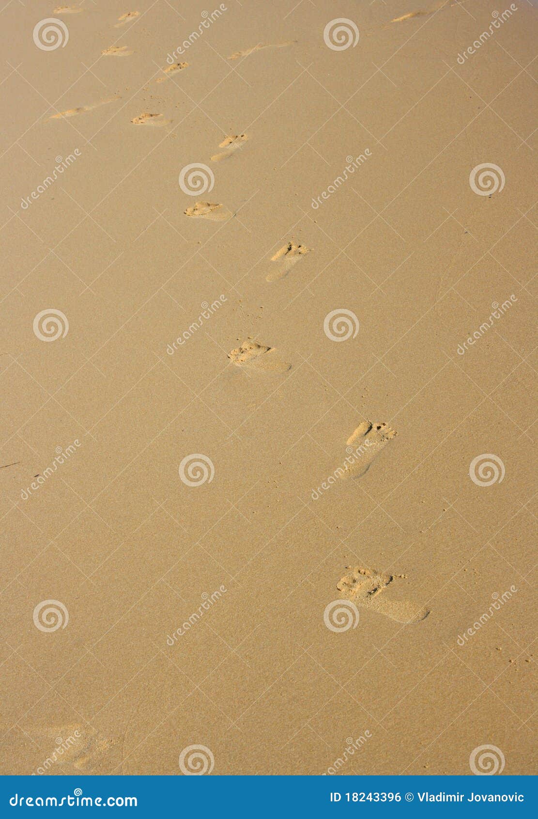 Piedi sulla sabbia. Orme sulla spiaggia sabbiosa che cammina via