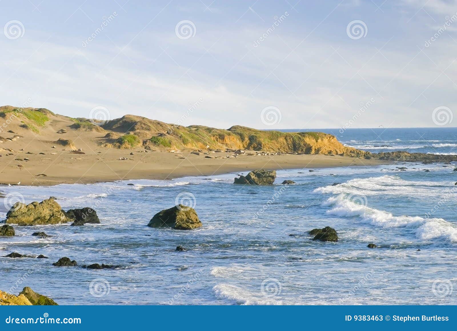 piedras blancas beach cambria california
