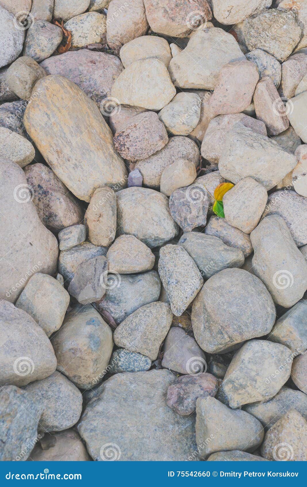 Fondo Textura De Piedra Blanca Un Mosaico De Piedras Blancas