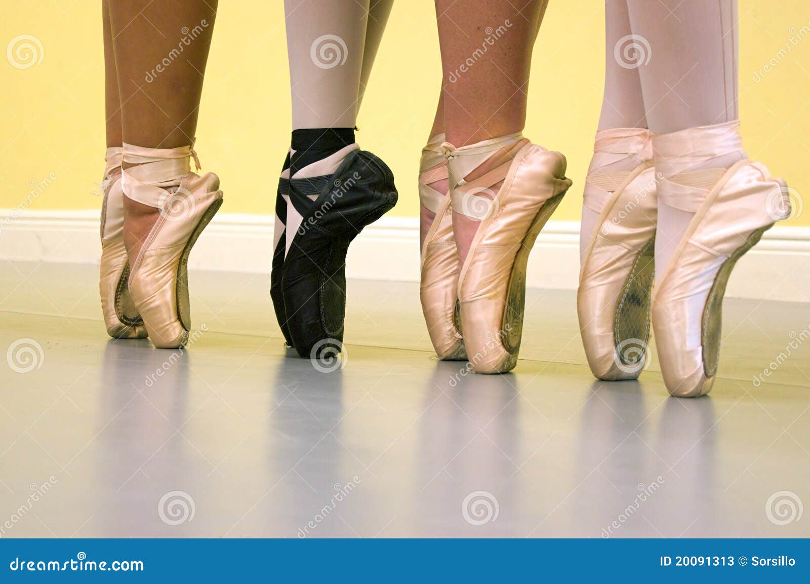 Pieds De Ballerine Dansant Dans La Chaussure De Ballet Photo stock - Image  du danseur, patte: 266122106