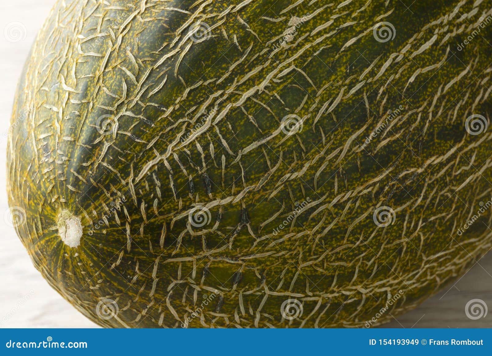 piel de sapo melon close up