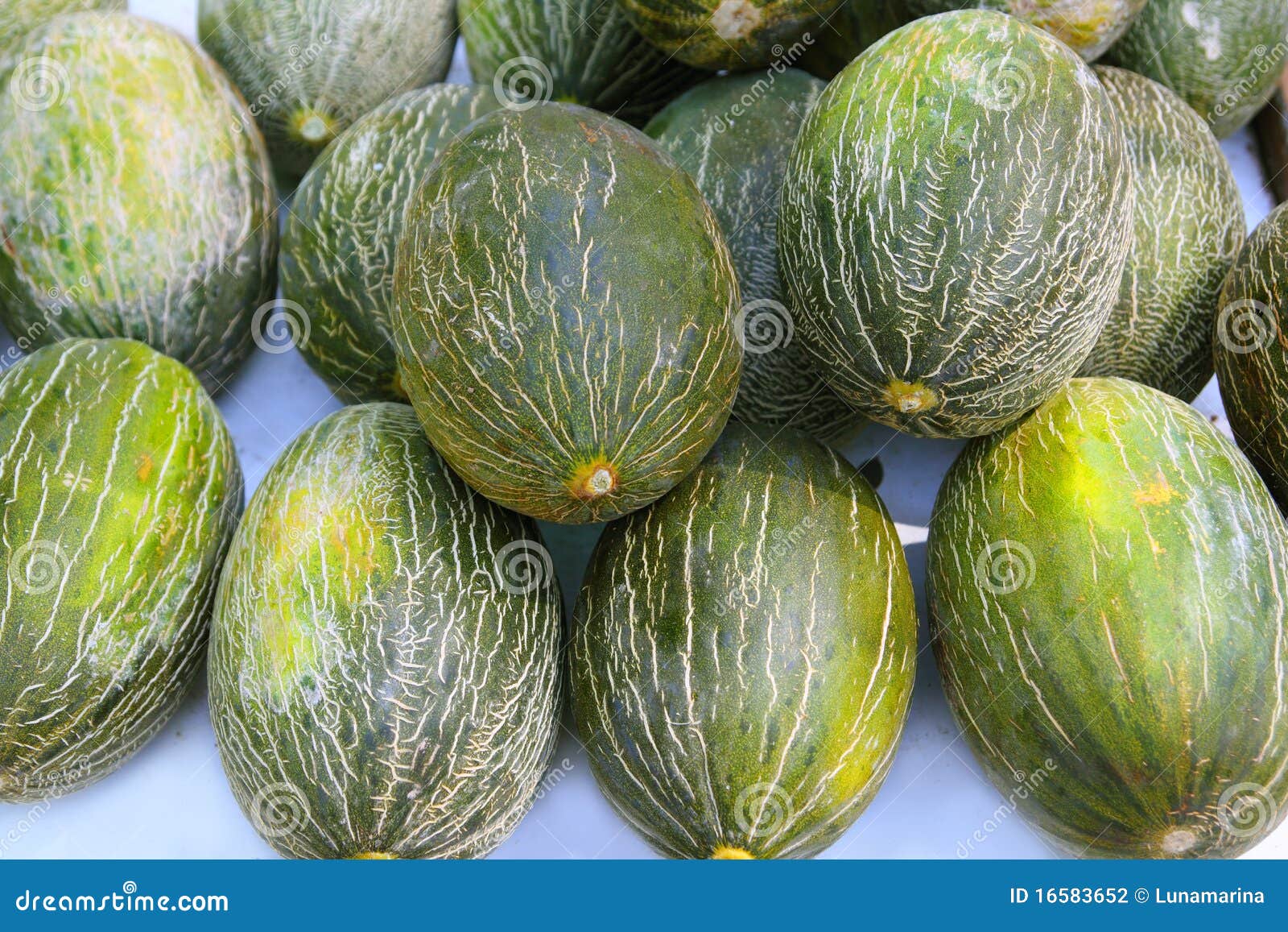 piel de sapo santa claus melon stacked