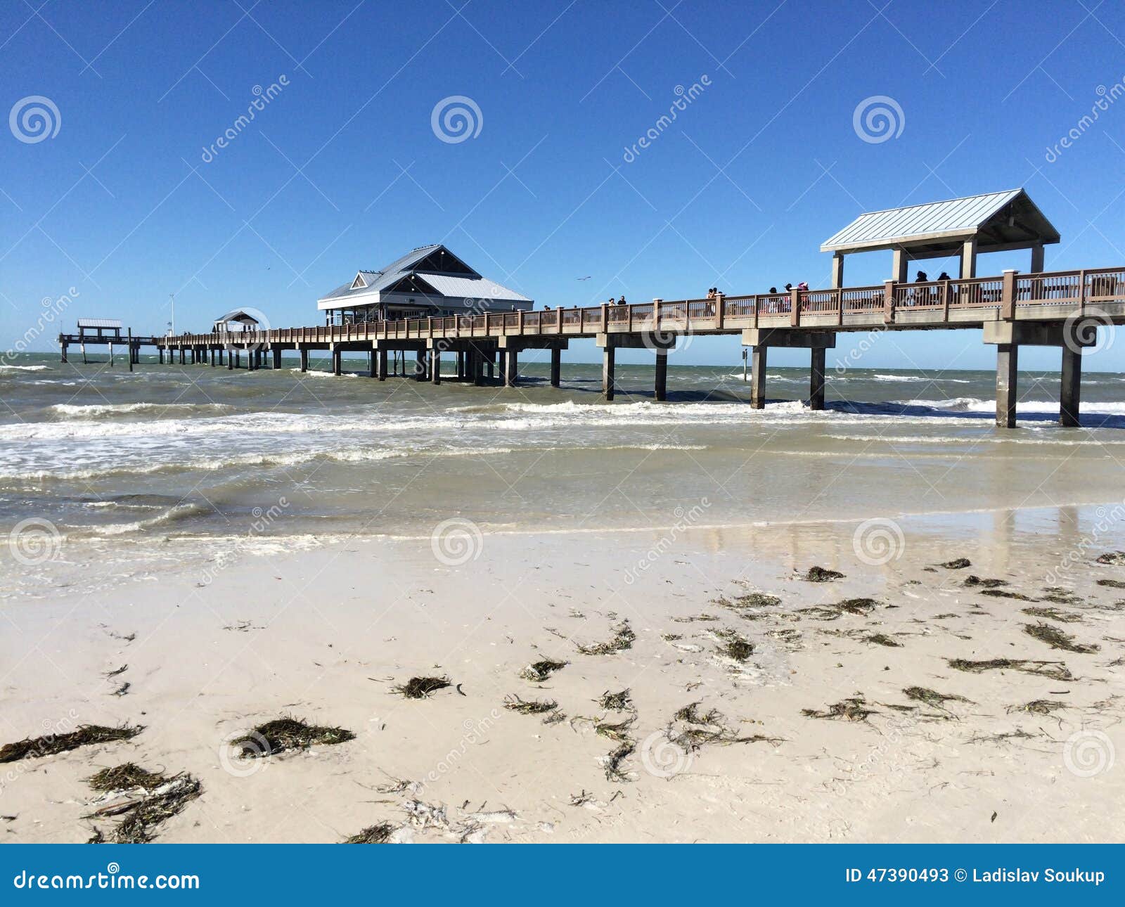 pier 60, clearwater, florida