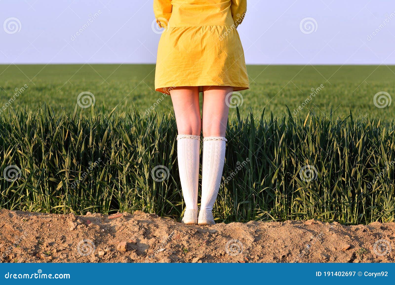 Piernas De Niñas En Medias Blancas Y Un Campo De Maíz Verde. Nalgas Y  Piernas De Una Chica Con Un Vestido Amarillo En La Naturalez Imagen de  archivo - Imagen de granja