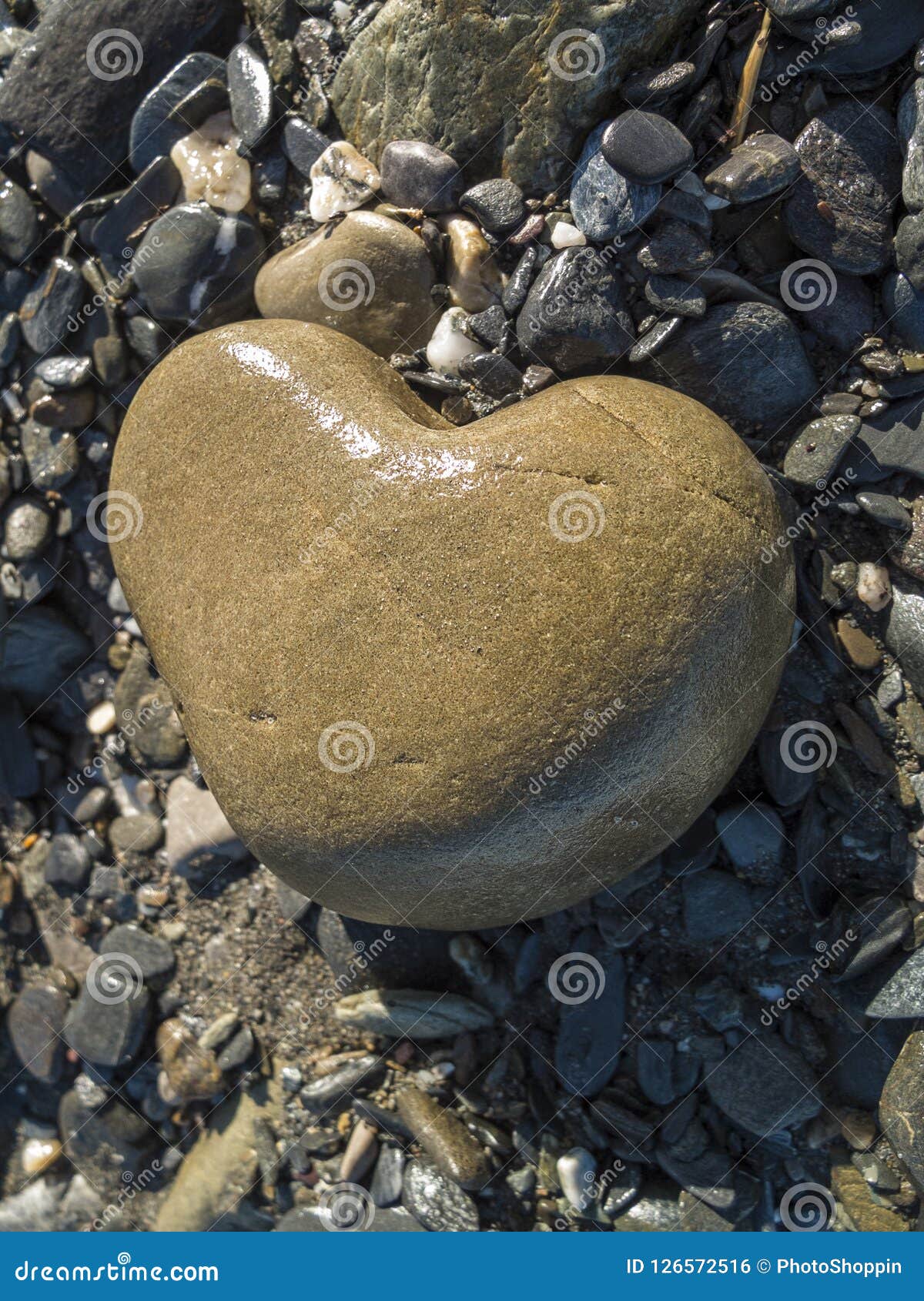 Pierre En Forme De Coeur De Plage Photo Stock Image Du Plage Amour 126572516