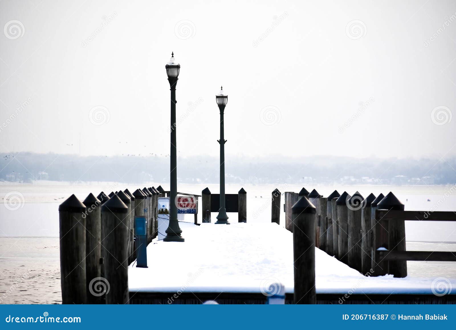 piers on lake geneva, wisconsin in winter