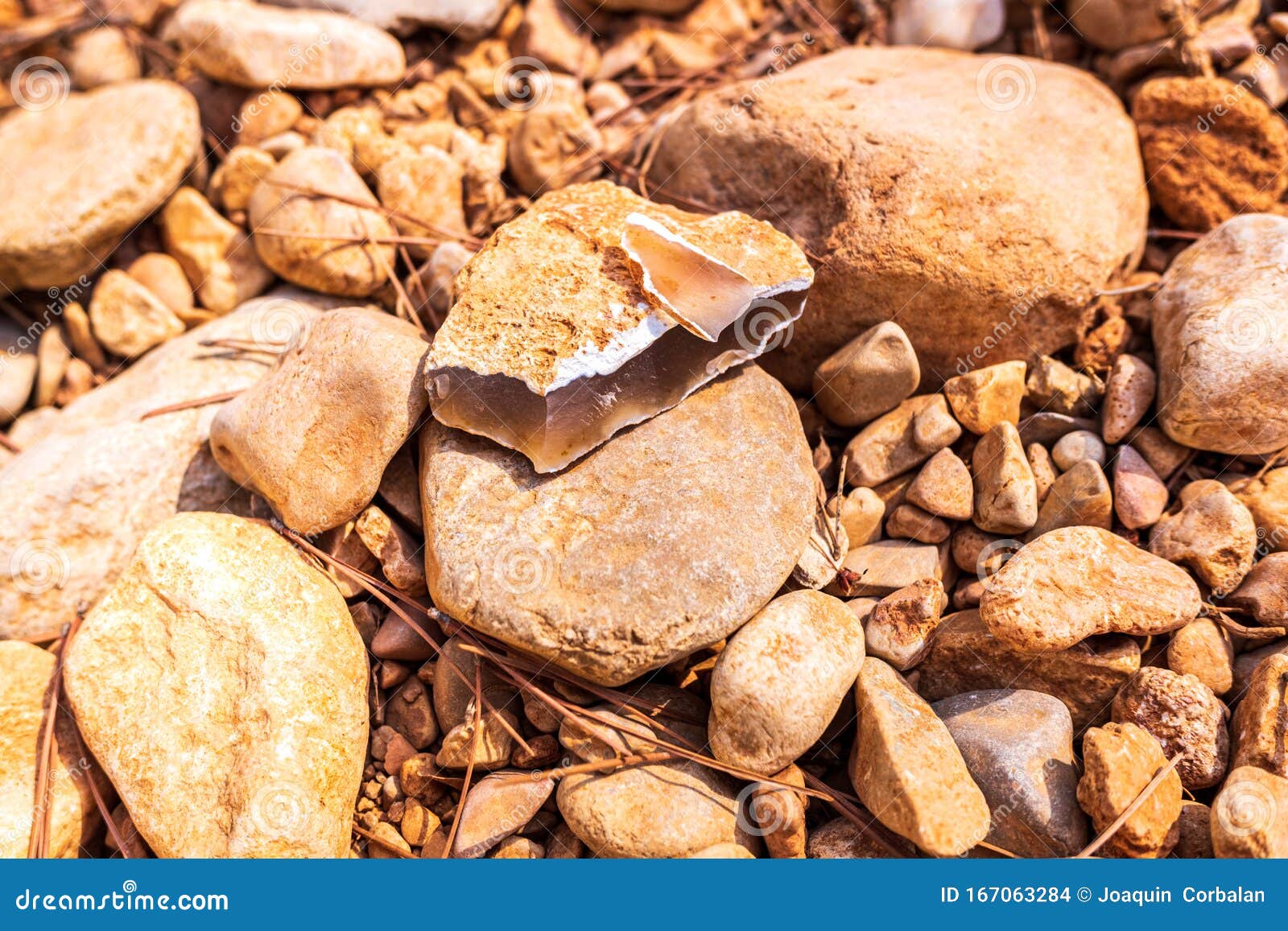 Pietra Di Pietra Focaia Trovata Nel Letto Di Un Fiume, Un Minerale Usato  Nella Preistoria Come Arma Fotografia Stock - Immagine di geologico,  particolare: 167063284