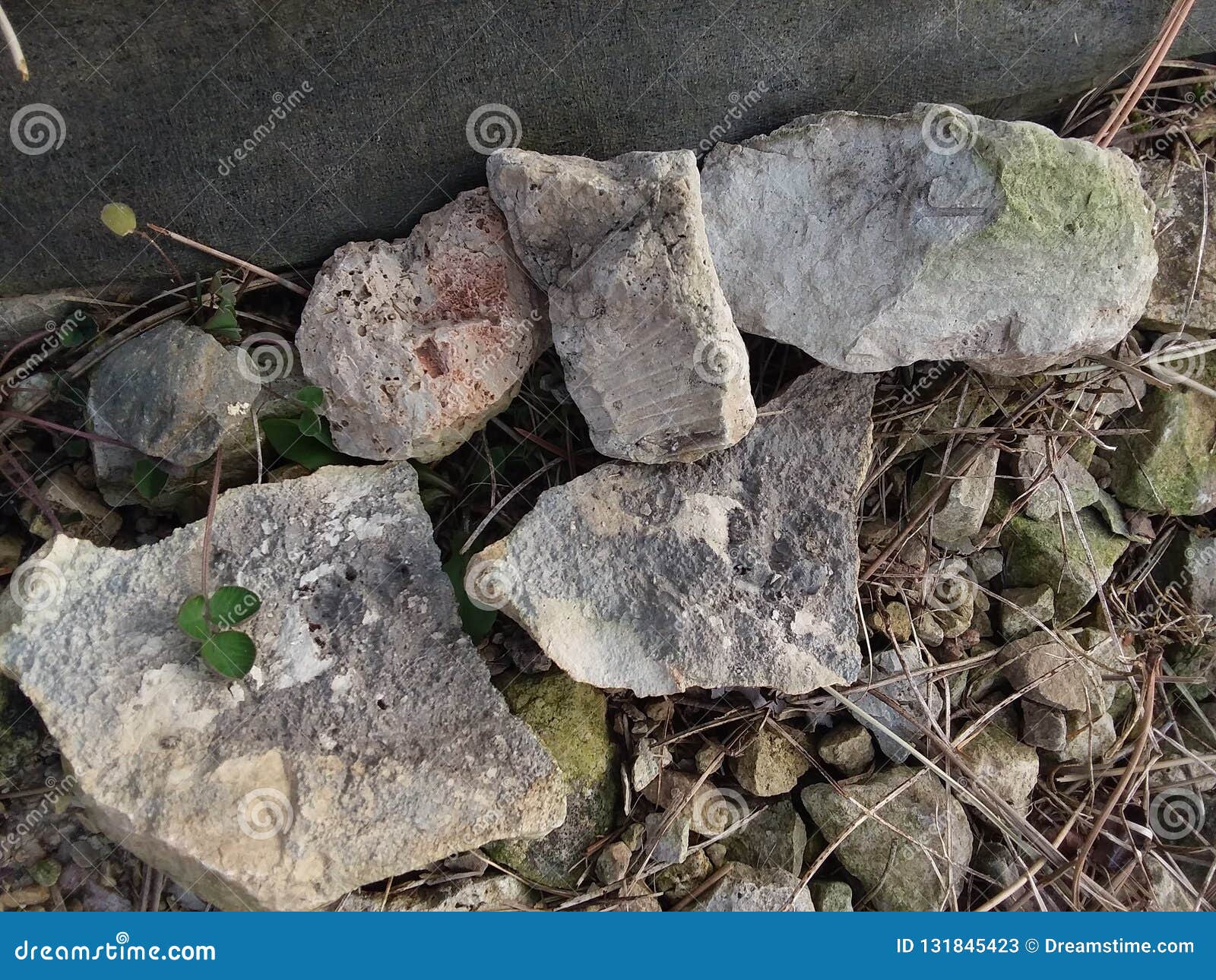 Cavalletto Espositore In Ferro - Per Minerali, Fossili, Geodi | Supporto Per Collezioni - Foto 8