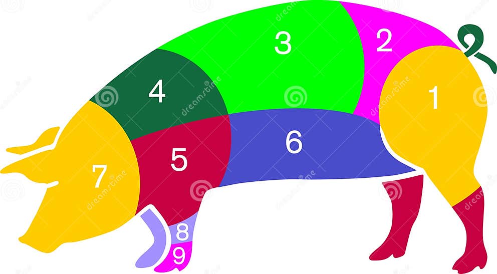 Pig color stock vector. Illustration of farmer, meat 10386585