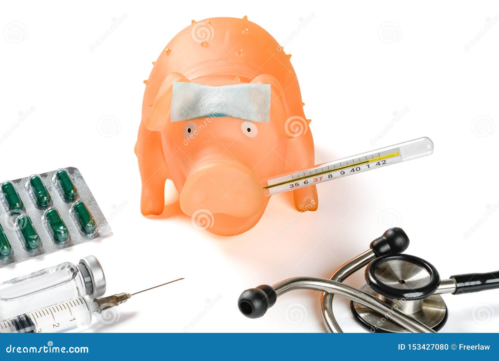 pig with cooling gel on forehead and mercury thermometer in mouth at 41 degrees centigrade and syringe and vaccine and