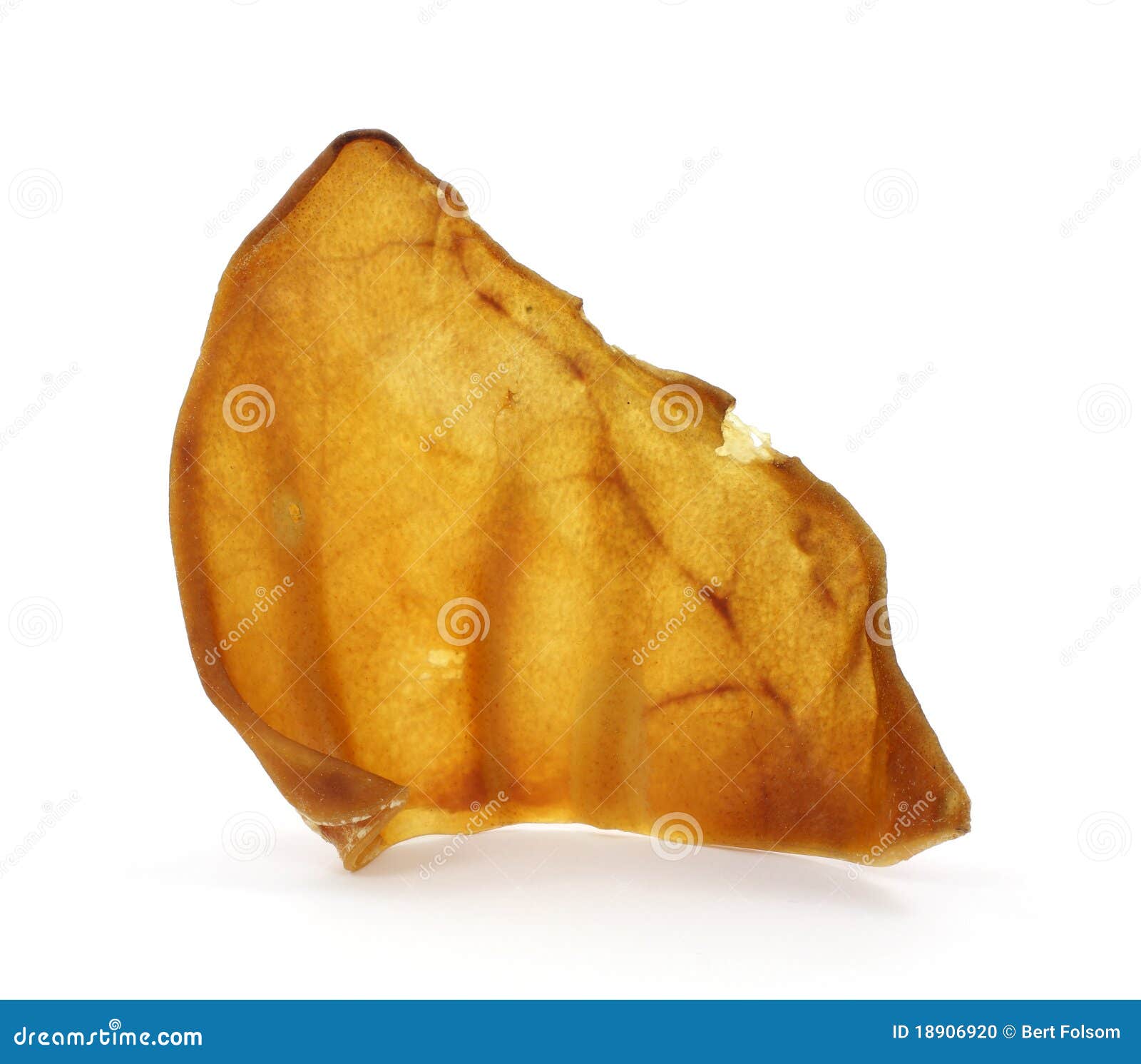 Pig ear dog chew toy stock photo. Image of chew, tough 18906920