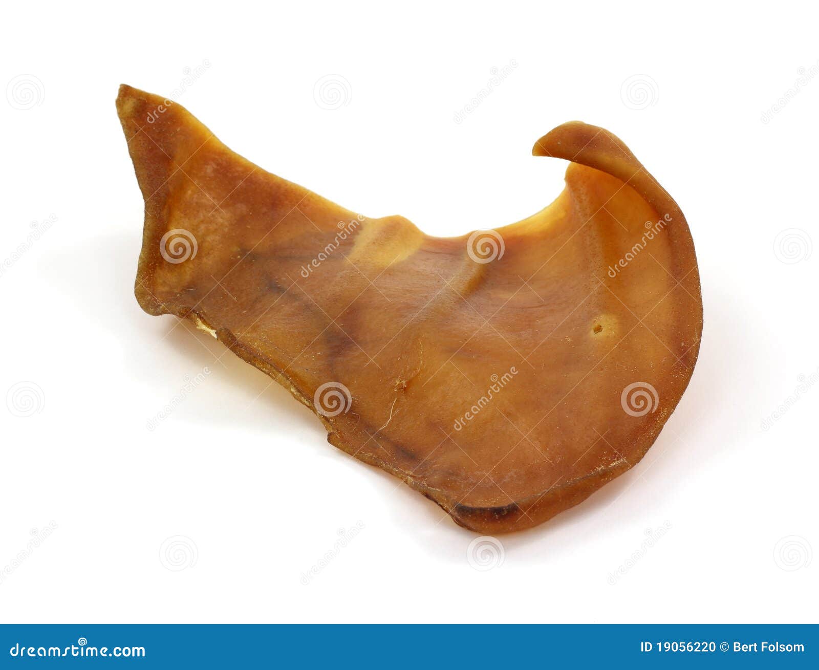 Pig ear dog chew toy stock photo. Image of leather, background 19056220