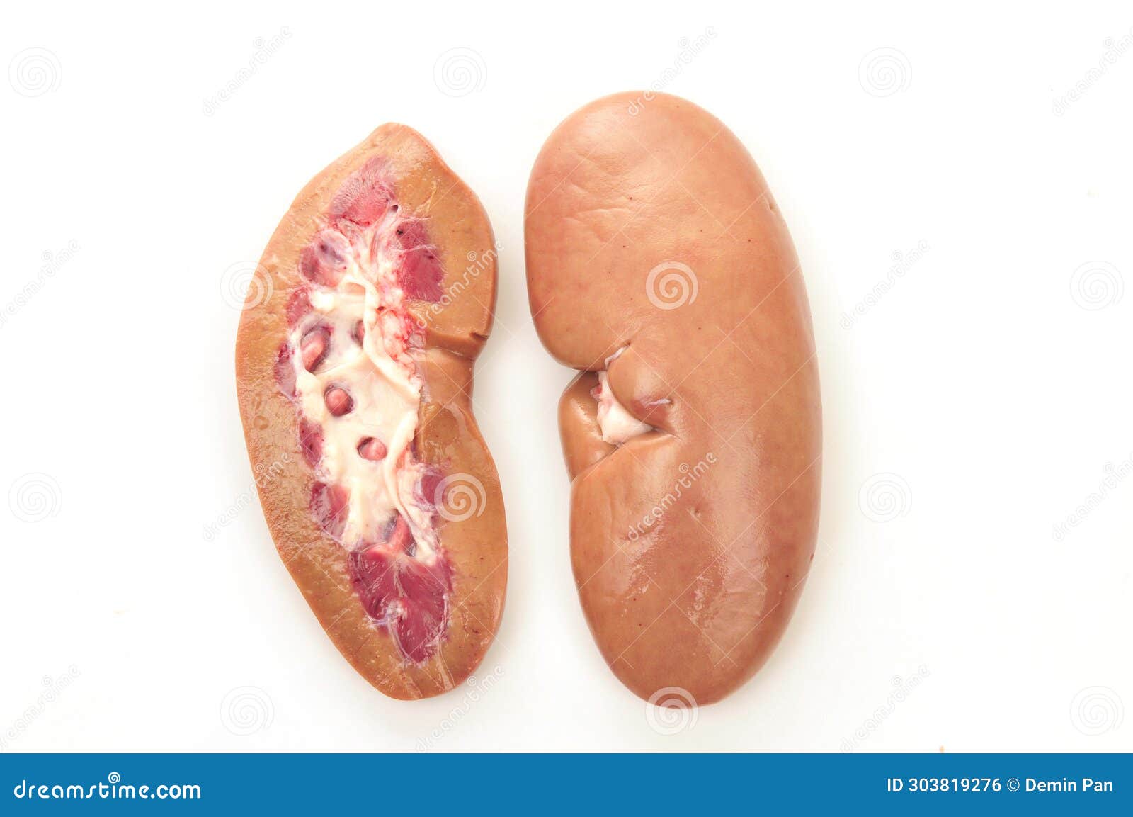 Pig Kidney on a White Background Stock Photo Image of heat, biology