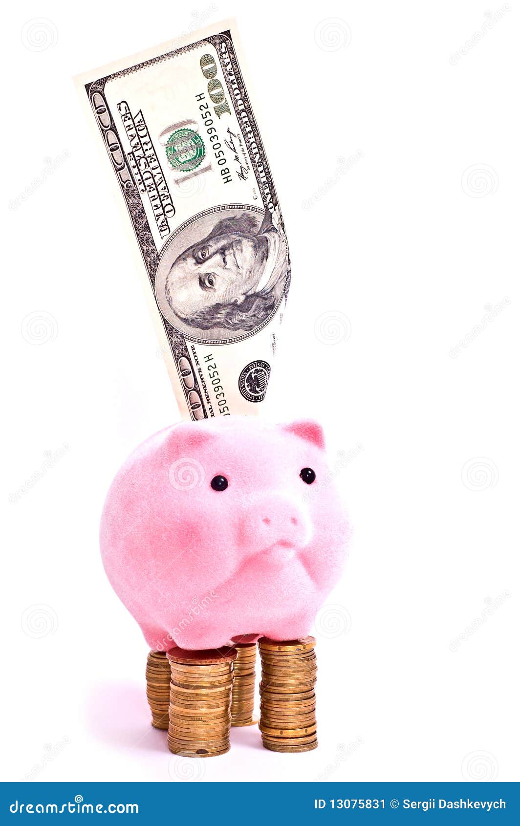 Pig on money. A pink pig stands on the pile of chinks isolated on white