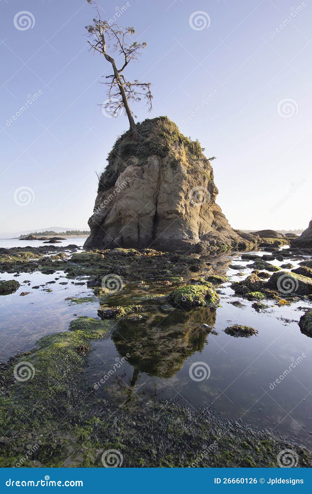 Pig and Sows Rock in Garibaldi Oregon at Low Tide Stock Photo Image