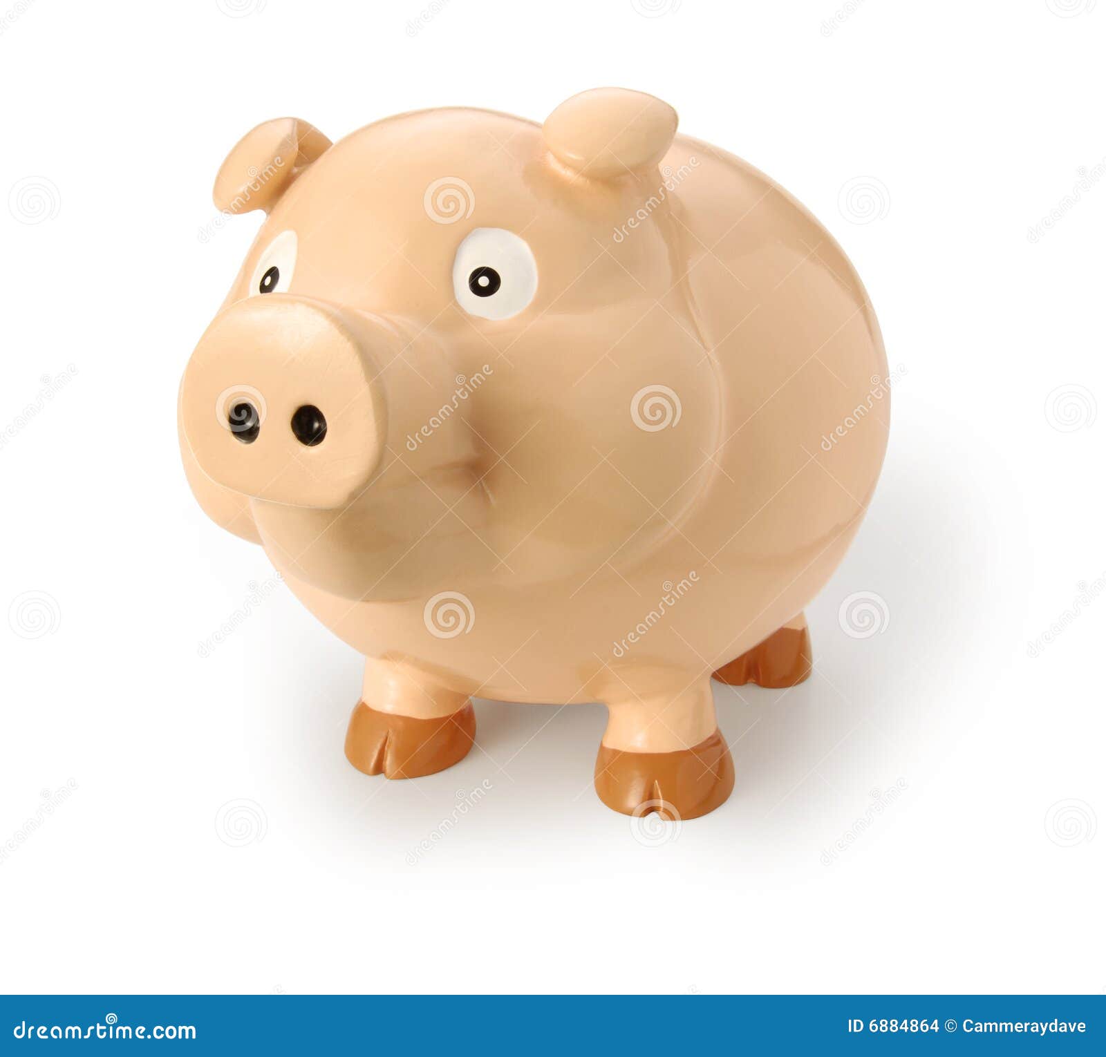 pig or swine