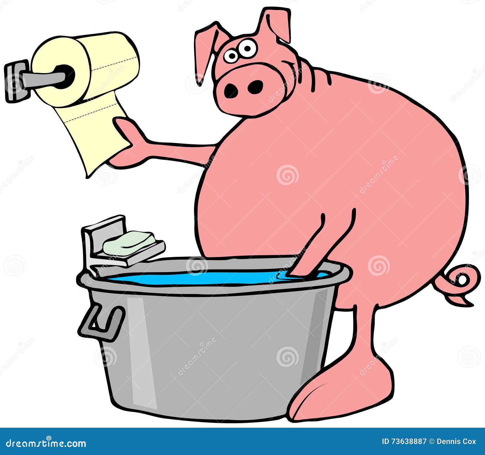 pig washing and drying its hooves