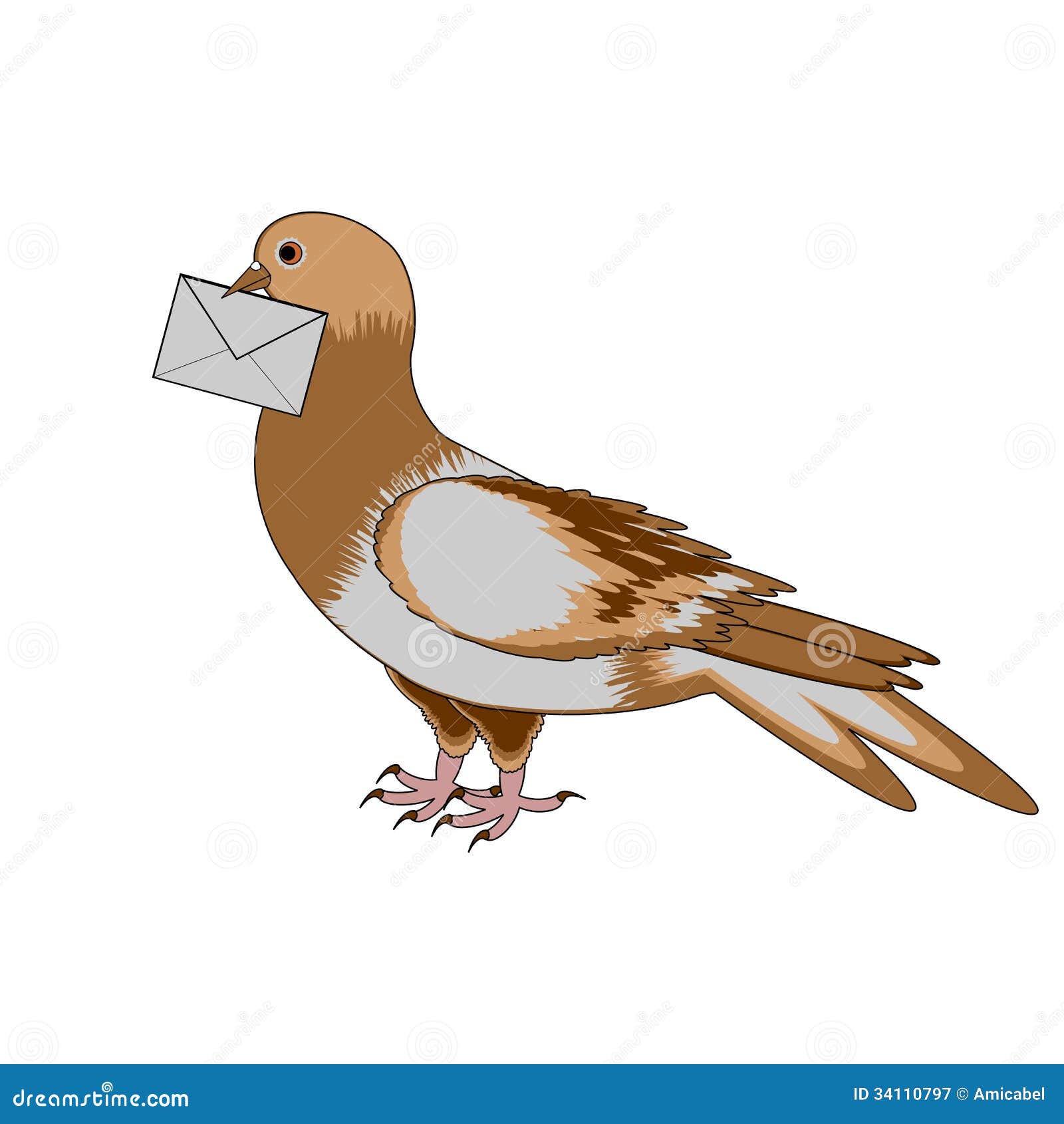 A Pigeon with a Letter on a White Background Stock Vector